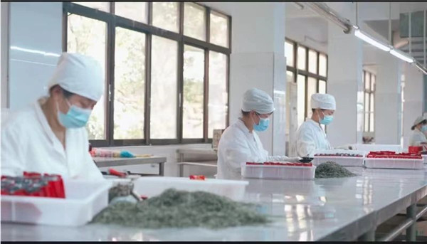 我市一企業(yè)連續(xù)23年獲評(píng)農(nóng)業(yè)產(chǎn)業(yè)化國(guó)家重點(diǎn)龍頭企業(yè) 將投資14億元打造綠色循環(huán)現(xiàn)代化農(nóng)業(yè)產(chǎn)業(yè)園