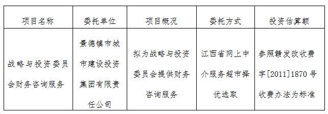 戰略與投資委員會財務咨詢服務計劃公告　　　　　　