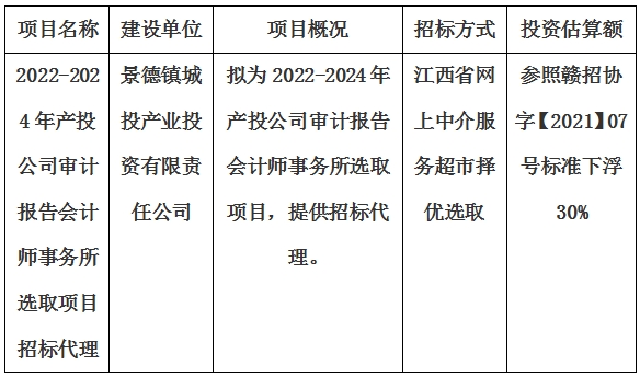 2022-2024年產(chǎn)投公司審計報告會計師事務所選取項目招標代理計劃公告